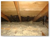 dsc01031_medium
